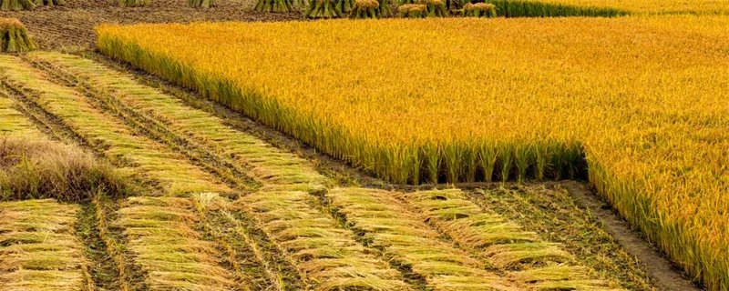 一平方米等于多少公顷