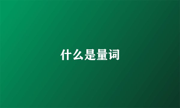 什么是量词