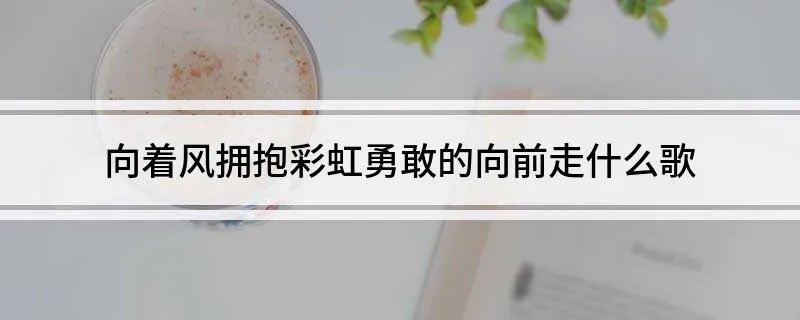 向着风拥抱彩虹勇敢的向前走什么歌