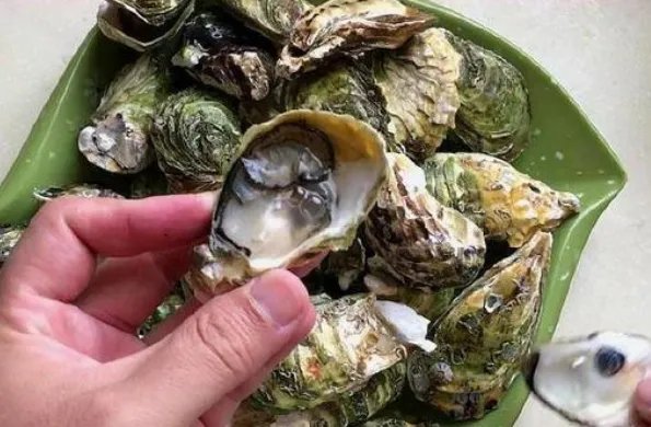 生蚝怎么打开