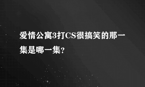 爱情公寓3打CS很搞笑的那一集是哪一集？