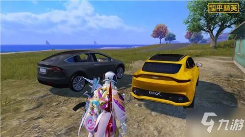 《和平精英》阿斯顿马丁吉普车皮肤适用范围一览 阿斯顿马丁吉普车皮肤通用吗