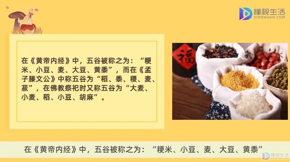 五谷杂粮是哪5种