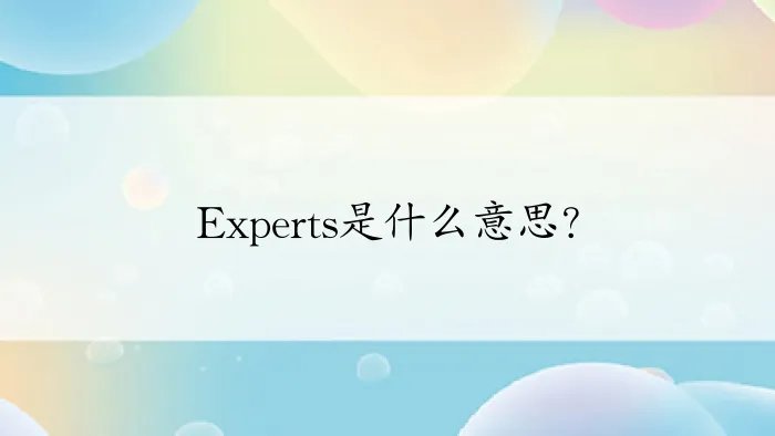 Experts是什么意思？