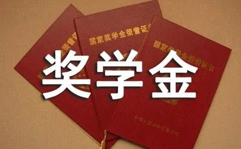 国家励志奖学金申请理由
