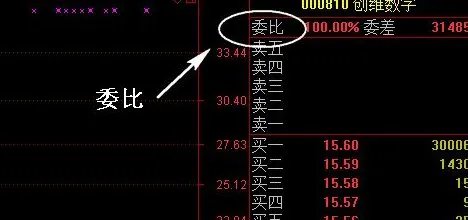 委比是什么意思？