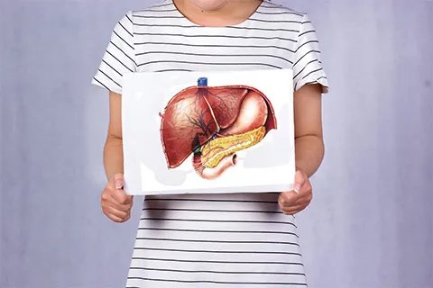 碱性磷酸酶是什么