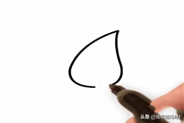 玫瑰花简笔画怎么画？