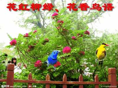 找不到工作怎么办？