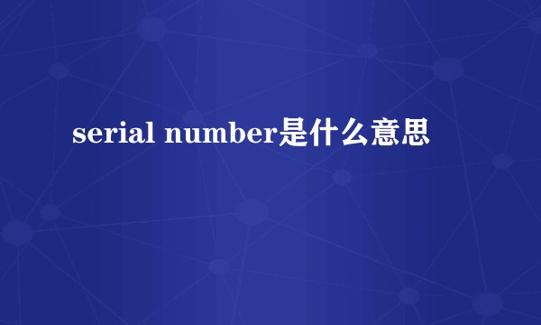 serial number是什么意思
