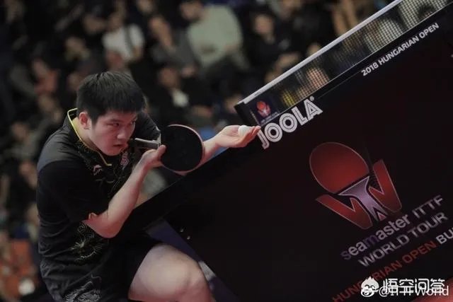 如何评价樊振东？