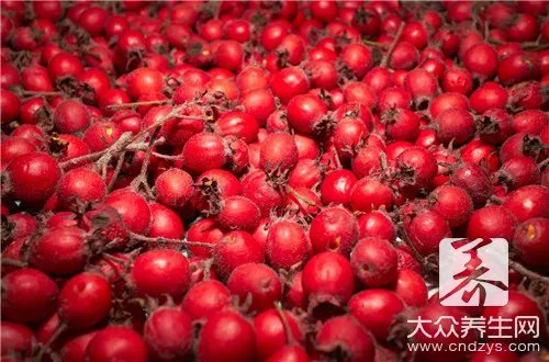 山楂粉一天适合吃多少