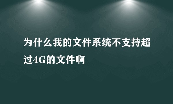 为什么我的文件系统不支持超过4G的文件啊
