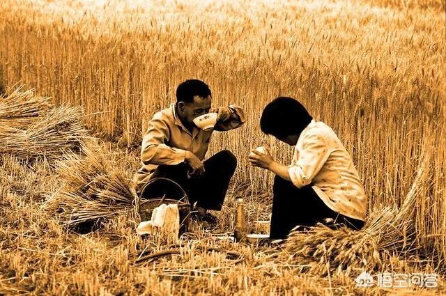 邯郸房价为什么这么贵?