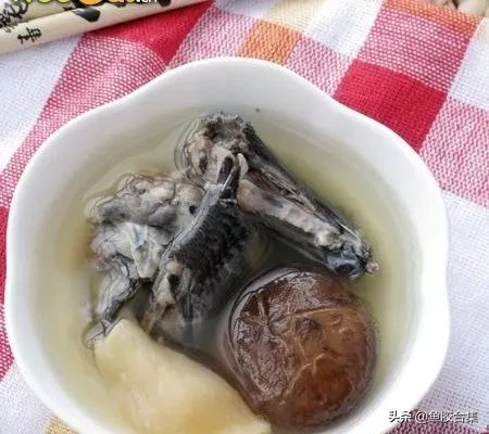正确炖鱼胶的10种方法 鱼胶的吃法和做法步骤
