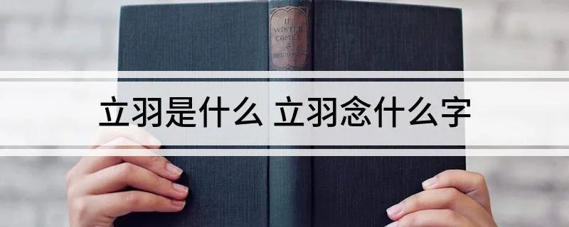 立羽是什么 立羽念什么字