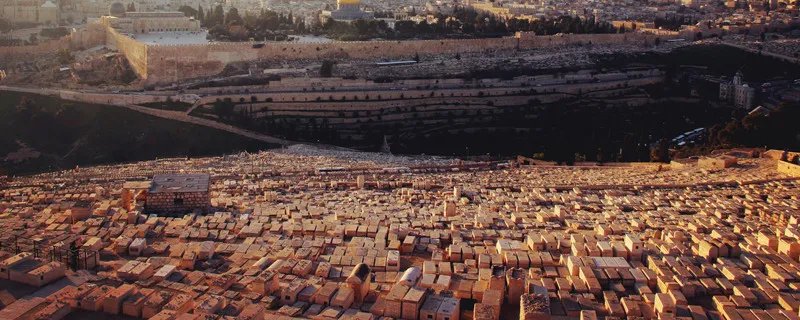 犹太人是哪个国家的 犹太人是哪个国家的主要民族