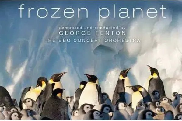 bbc十大经典纪录片都有什么？