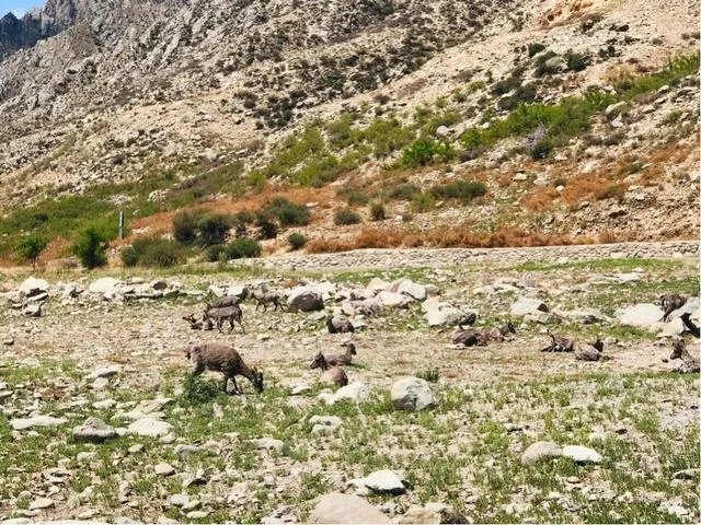 银川必去的五大景点有哪些?