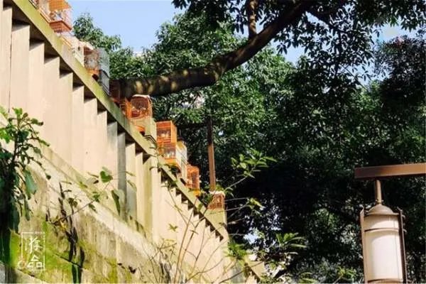 重庆的空气质量好吗？