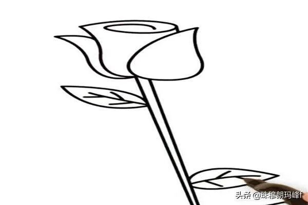 玫瑰花简笔画怎么画？