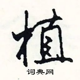 植组词_植字怎么组词_植组词有哪些_带植字的词语