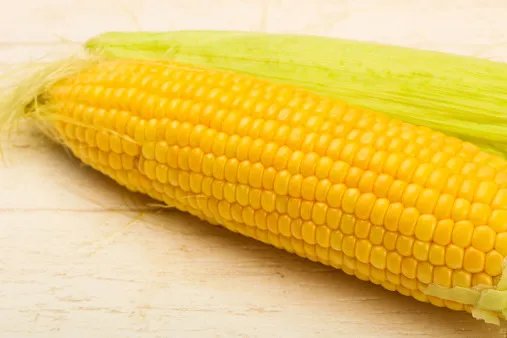 吃玉米的功效与作用