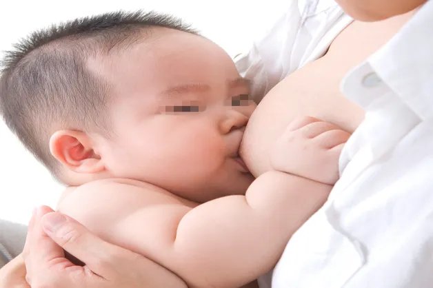 母乳喂养图片 生命之源
