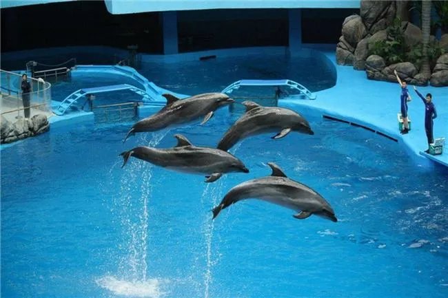 世界上最大墓地是哪个 和平谷（五百多万人长眠于此） 