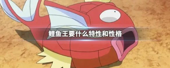鲤鱼王要什么特性和性格