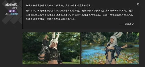 《ff14》种族介绍图一览