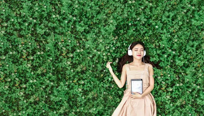 憧憬是什么意思