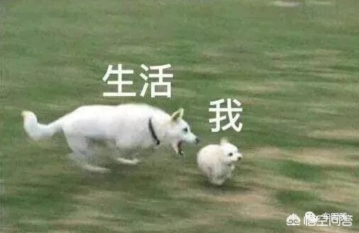 东风风行T5怎么样?