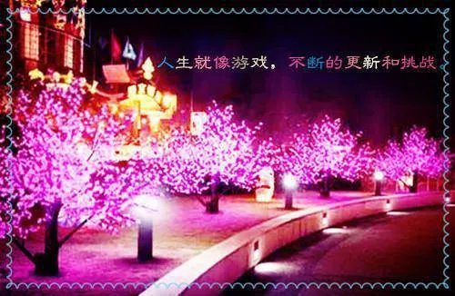 亦筝笙结局是什么 亦筝笙结局番外免费阅读