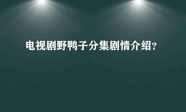 电视剧野鸭子分集剧情介绍？