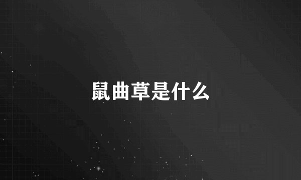 鼠曲草是什么