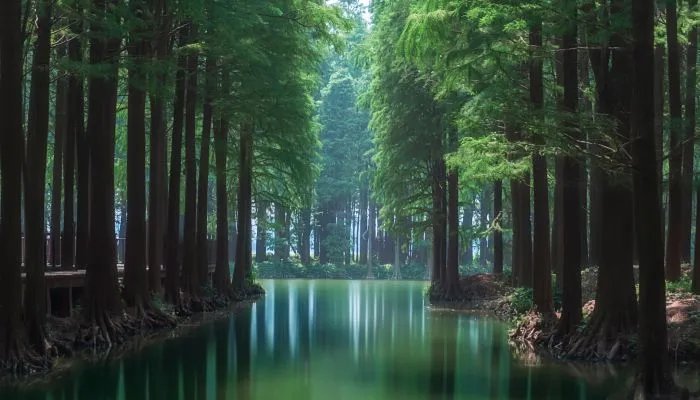 2023年世界湿地日是几月几日 2023年世界湿地日在哪一天