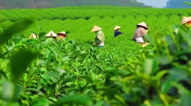 信阳现在的房价大概是多少钱？