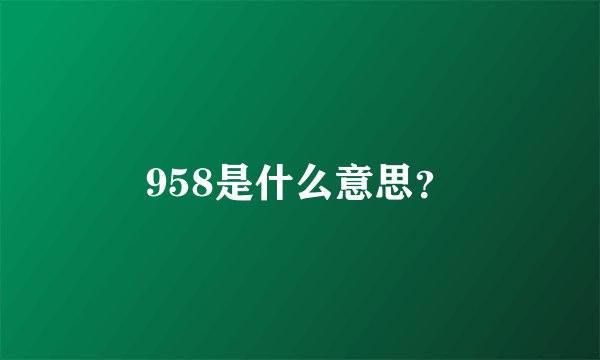 958是什么意思？