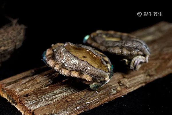 鲍鱼的营养价值及功效与作用