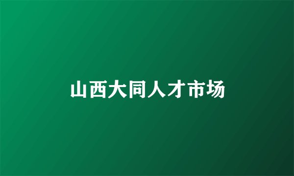 山西大同人才市场