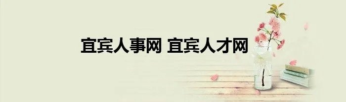 宜宾人事网 宜宾人才网