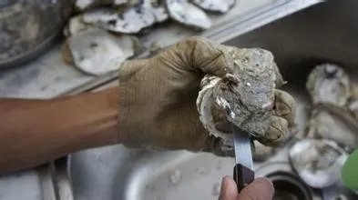 生蚝怎么打开