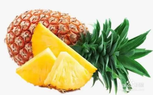 菠萝的拼音