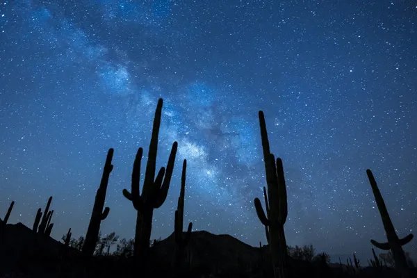 4月6日是什么星座 4月6日出生是什么星座