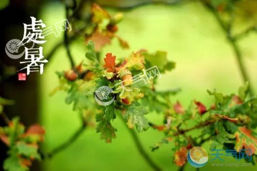 处暑是什么意思 处暑代表什么意思简介