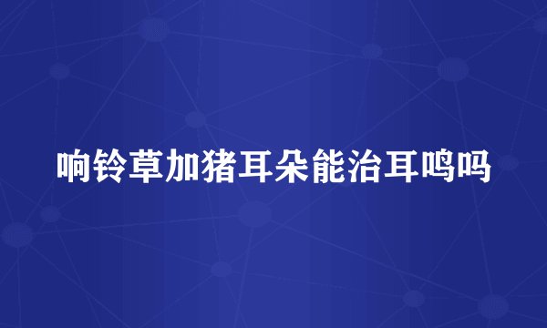 响铃草加猪耳朵能治耳鸣吗