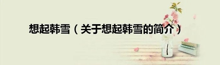 想起韩雪（关于想起韩雪的简介）