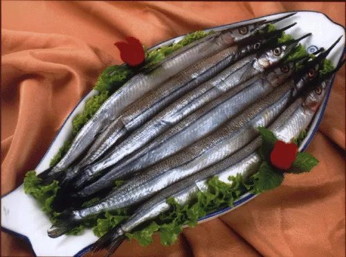 银针鱼如何饲养  银针鱼家常菜的三种做法
