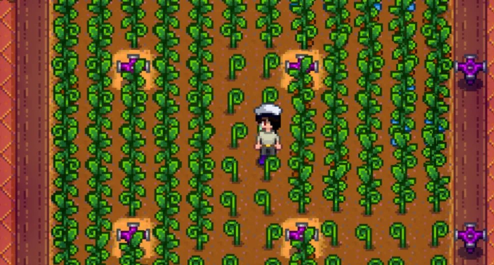 星露谷物语酿酒流如何赚钱 酿酒流赚钱教程